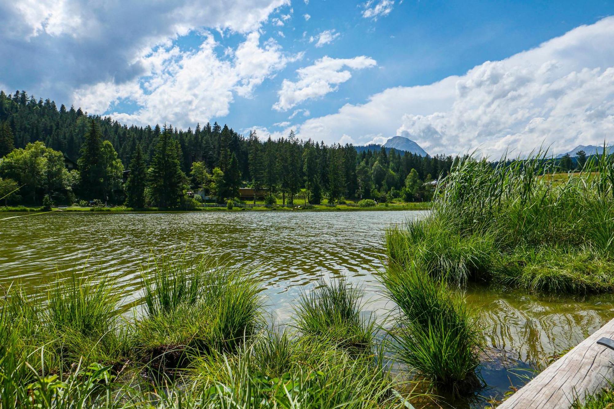 Landhaus Haid Seefeld in Tirol Eksteriør bilde